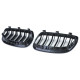 Body kitek és vizuális kiegészítők RACES hűtőrács (Sport Double Bar) BMW 3 series E92 E93 06-09-hez, fényes | race-shop.hu