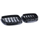 Body kitek és vizuális kiegészítők RACES hűtőrács (Sport Double Bar) BMW 5 Series GT F07-hez, fényes | race-shop.hu
