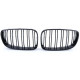 Body kitek és vizuális kiegészítők RACES hűtőrács (Double Bar Performance) BMW E81 E82 E87 E88 LCI-hez, fényes | race-shop.hu