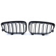 Body kitek és vizuális kiegészítők RACES hűtőrács (Double Bar Performance) BMW E81 E82 E87 E88 LCI-hez, fényes | race-shop.hu