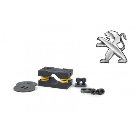 RacingDiffs RacingDiffs Progressive Limited Slip Differential konverziós készlet Citroen MA | race-shop.hu
