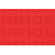 FIA homologizáció nélküli Versenyülés GTR Bride Velvet Piros | race-shop.hu