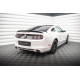 Body kitek és vizuális kiegészítők Splitter készlet Ford Mustang Mk5 Facelift | race-shop.hu