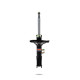 Sport lengéscsillapítók Pedders 8928 Sealed Strut | race-shop.hu