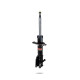 Sport lengéscsillapítók Pedders 8438R Sealed Strut | race-shop.hu
