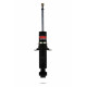 Sport lengéscsillapítók Pedders 8212 Shock Absorber | race-shop.hu