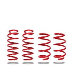 Pedders 803635 Lowering Kit Spring Only. Tesla Model 3 All Wheel Drive Models. 2018 on