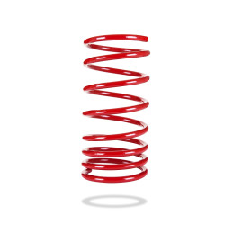 Pedders 2537 Sportsryder Coil Spring
