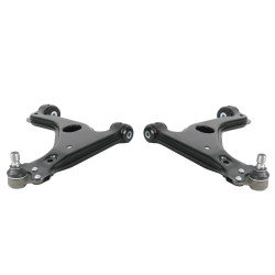 Holden/Saturn Astra TS/AH Front LCA Set (80ShA)