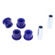 SuperPro ROVER/TRIUMPH-LWR/CONT ARM INN (80ShA) | race-shop.hu
