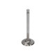Motor alkatrészek Manley Street Series SBC Exh Valve Kit 1.600 x 4911 x .3415 | race-shop.hu