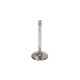 Motor alkatrészek Manley Chevy LS-1 Intake Valve Kit 2.055 x 4874 x .3133 | race-shop.hu