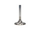 Motor alkatrészek Manley SBC Exhaust Valve Kit 1.600 x 5365 x .3415 | race-shop.hu