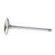 Motor alkatrészek Manley Titanium Series BBC Exhaust Valve | race-shop.hu