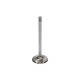 Motor alkatrészek Manley Titanium Series BBC Exhaust Valve | race-shop.hu