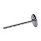 Motor alkatrészek Manley Titanium Series Chevy LS-7 Intake Valve Kit | race-shop.hu