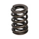 Motor alkatrészek Manley Valve Spring HONDA H22 V-TEC | race-shop.hu
