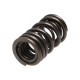 Motor alkatrészek Manley Valve Spring MITSUBISHI 4G63/T | race-shop.hu