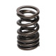 Motor alkatrészek Manley Valve Spring MITSUBISHI 4G63/T | race-shop.hu