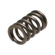 Motor alkatrészek Manley Valve Spring MITSUBISHI 4G63/T | race-shop.hu