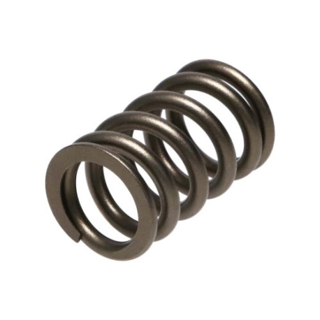 Motor alkatrészek Manley Valve Spring MITSUBISHI 4G63/T | race-shop.hu