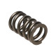 Motor alkatrészek Manley Valve Spring MITSUBISHI 4G63/T | race-shop.hu