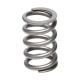 Motor alkatrészek Manley Valve Spring TOYOTA SUPRA 2JZ | race-shop.hu
