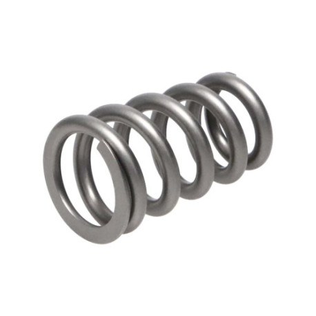 Motor alkatrészek Manley Valve Spring TOYOTA SUPRA 2JZ | race-shop.hu