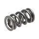 Motor alkatrészek Manley Valve Spring 1.335 DOUBLE | race-shop.hu