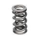 Motor alkatrészek Manley Valve Spring 1.335 DOUBLE | race-shop.hu