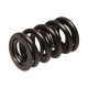 Motor alkatrészek Manley Valve Spring 1.640 DOUBLE | race-shop.hu