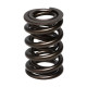 Motor alkatrészek Manley Valve Spring 1.640 DOUBLE | race-shop.hu