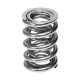Motor alkatrészek Manley Valve Spring 1.560 DOUBLE | race-shop.hu