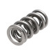 Motor alkatrészek Manley Valve Spring 1.500 DOUBLE | race-shop.hu