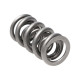 Motor alkatrészek Manley Valve Spring 1.500 DOUBLE | race-shop.hu