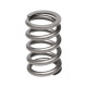 Motor alkatrészek Manley Valve Spring SUBARU WRX | race-shop.hu