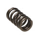 Motor alkatrészek Manley Valve Spring MITSUBISHI 4B11T | race-shop.hu