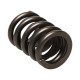 Motor alkatrészek Manley Valve Spring 1.550 SINGLE | race-shop.hu