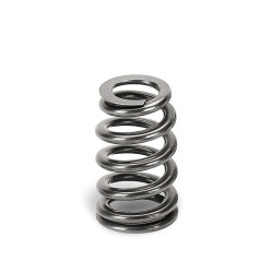 SUPERTECH Valve Spring Set BMW B48/Ford 2.0/2.3 EcoB 88lbs