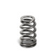 Motor alkatrészek SUPERTECH Valve Spring Set BMW B58/N54/55 / Ford 3.5 Ecob | race-shop.hu