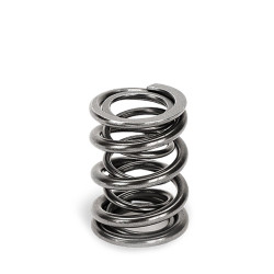 SUPERTECH Valve Spring Set BMW M50/52/54 / S38/50/52
