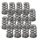 Motor alkatrészek SUPERTECH Valve Spring Set Toy 1JZ/2JZ | race-shop.hu
