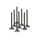 Motor alkatrészek SUPERTECH Valve Kit Exhaust Duratec 2.0L 31.00mm (+1mm) Inc | race-shop.hu