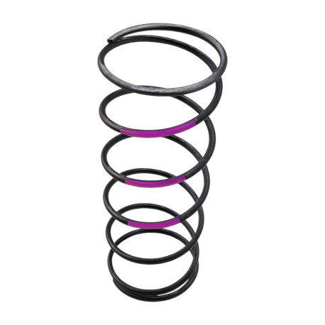 Accessories Garrett 898344-0006 Wastegate Spring GVW-40 (Purple) | race-shop.hu