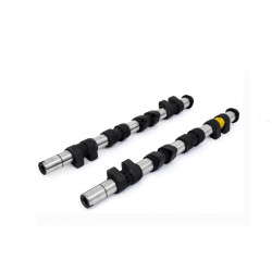 Piper Camshaft Renault 1.8L 16v F7P Clio Williams Ult Road