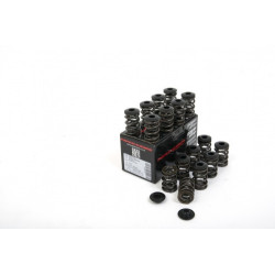 Piper Double Valve Spring Kit Opel Astra H VXR 2.0L T
