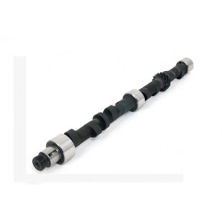 Piper Camshaft Volvo B18 Rally