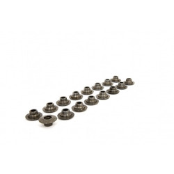 Piper Spring Caps Peugeot/Citroen 2.0L 16v EW10J4