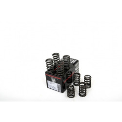 Piper Single Valve Springs Peu/Citr 1.4L TU3 Alloy Block