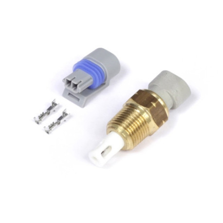 Motec Haltech Air Temp Sensor - Large Thread 3/8 NPT 18TPI | race-shop.hu